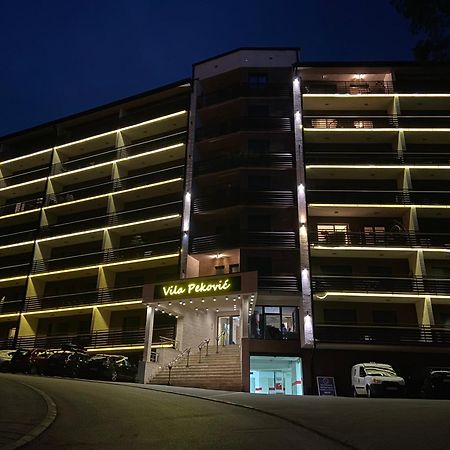 Apartment Pino Bianco 1 - Vila Pekovic Ζλάτιμπορ Εξωτερικό φωτογραφία