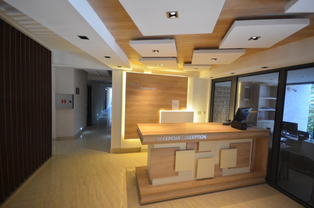 Apartment Pino Bianco 1 - Vila Pekovic Ζλάτιμπορ Εξωτερικό φωτογραφία